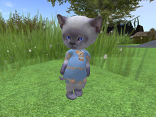 &ML& for DINKIE short suit (pl4)
