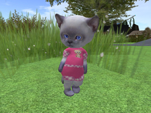 &ML& for DINKIE short suit (pl6)