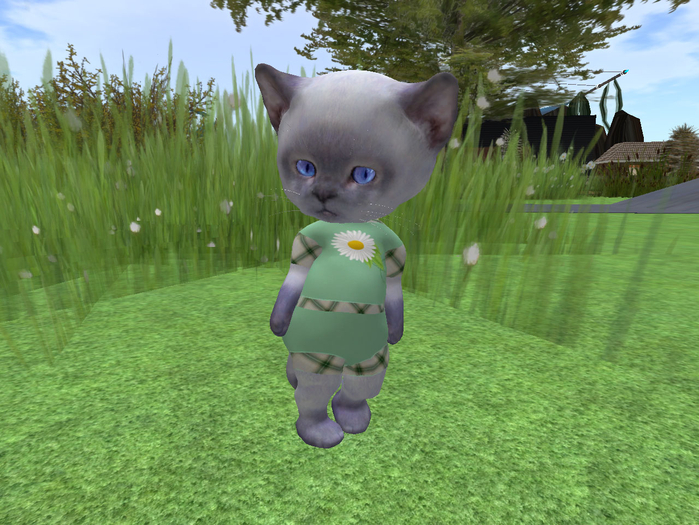 &ML& for DINKIE short suit (pl7)