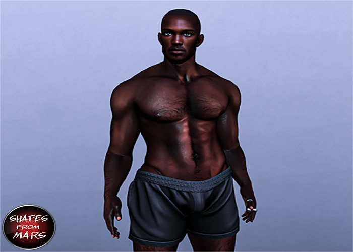 Second Life Marketplace - [SFM] Byron Male Shape ! Lelutka Head Skyler