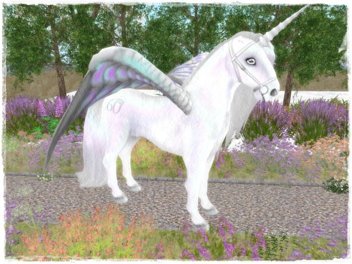 Amaretto Breedable Bundle - Female White Unicorn Pegasus