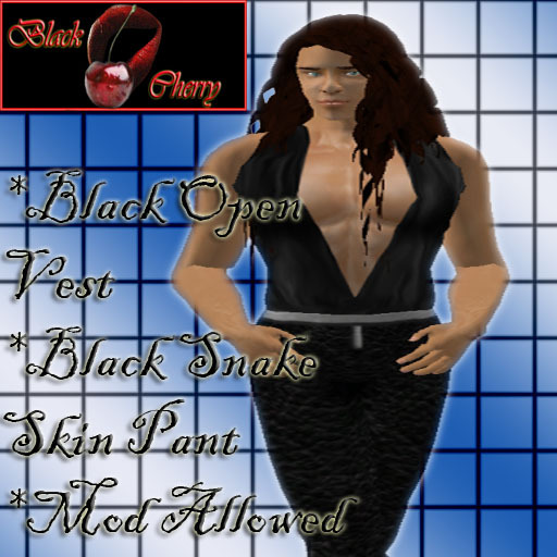 *BC*Black Open Vest,Snake Pant Boxed