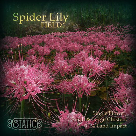 ::Static:: Spider Lily Field {Pink}