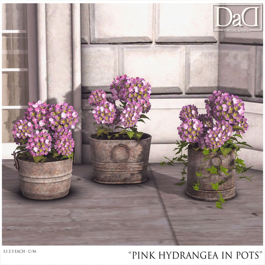 DaD "Pink Hydrangea in Pots" c/m V.1.0 (wear me)