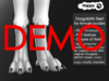 Dragobirb%20end!%20demo%20fem
