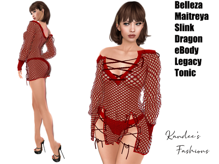 Red Fishnet Dress & Panties