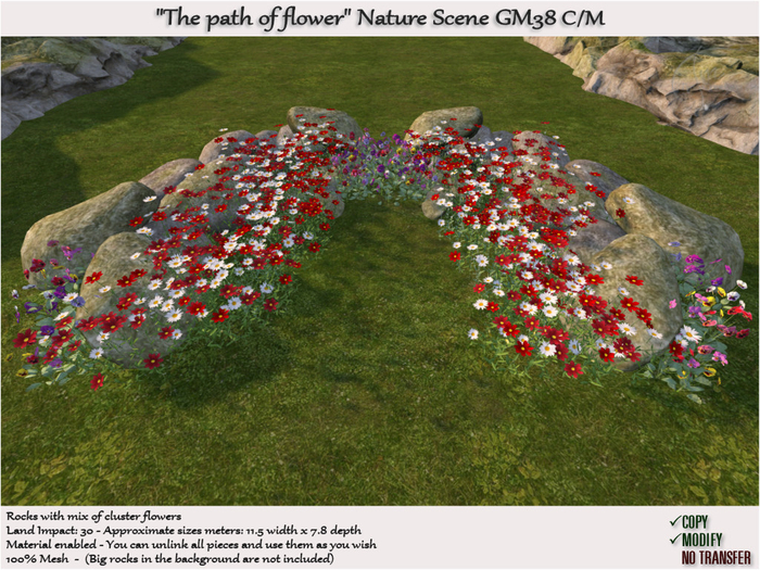 The path of flowers rock Nature Scene GM38 