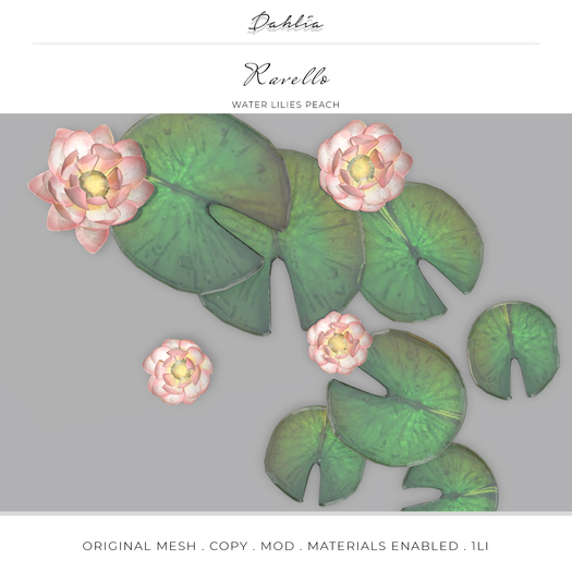 Dahlia - Ravello - Water Lilies - Feature - Peach 