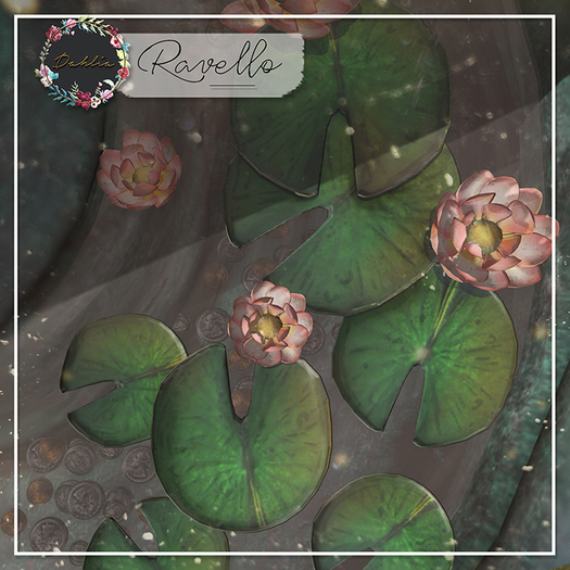 Dahlia - Ravello - Water Lilies - Feature - FULL SET 