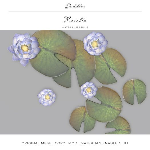 Dahlia - Ravello - Water Lilies - Feature  - Blue 