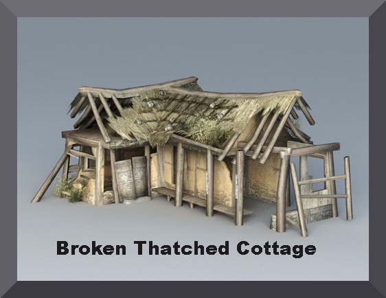 Broken Thatched Cottage  15