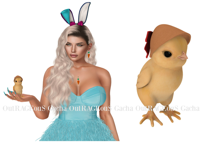 *[Black Bantam] Spring Hat Baby Chick V2