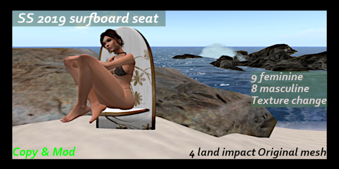 SS 2019 surfboard chair