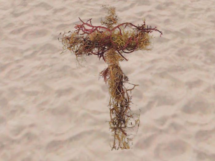 TM Seaweed Cross Poster