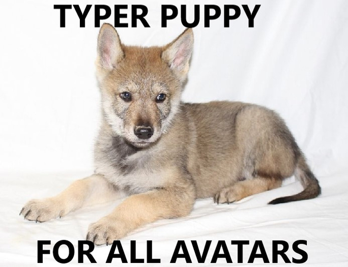 ::MDB:: TYPER Puppy