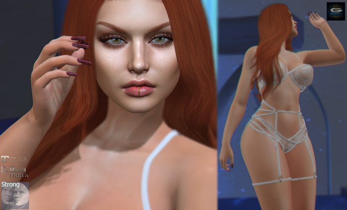 ::G.B-Sophia Shape-GENUS STRONG::