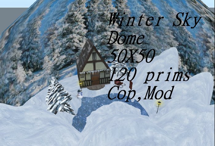 Winter Sky Dome