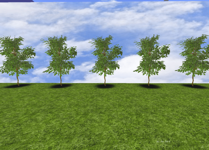 5 Fig trees in row