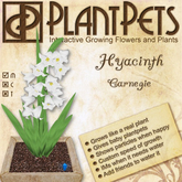 PlantPet Seed [Hyacinth *Carnegie*]