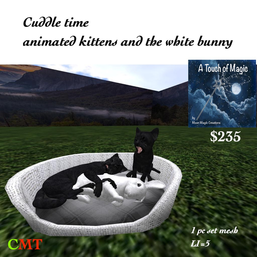 Cuddle time animated kittens & the white Bunny-box