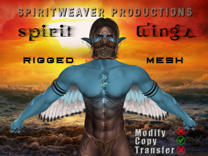 Spirit Wings [BOXED]