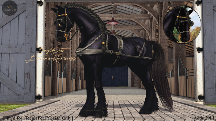 Cheval D'or / TeeglePet Friesian / Luciana Harness. *DELUXE*