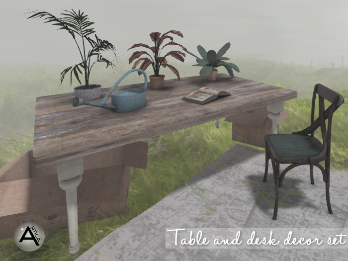 Antica Table and desk decor set