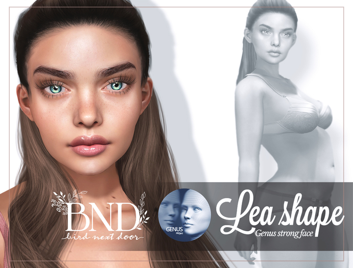 [BND] Lea Chubby Shape For Genus Strong Face