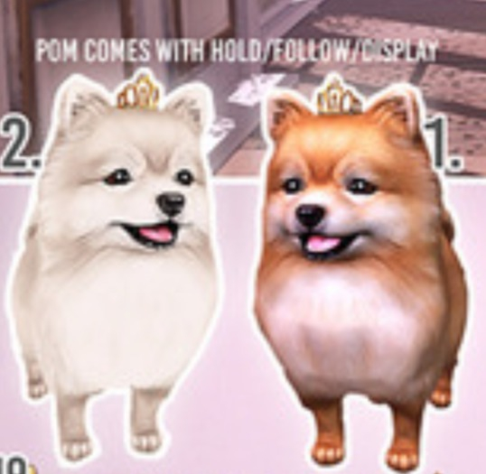 Birdy - Boudoir - Pom - Snow [BOX] RARE 1 1 6
