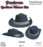 Western Hat Buckhorn with Rope Band - Cobalt