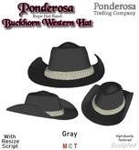 Western Hat Buckhorn with Rope Band - Gray