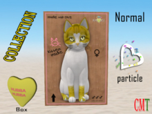 KittyCatS Box - New Born Kitten SweetCatS! 2 - Hubba female