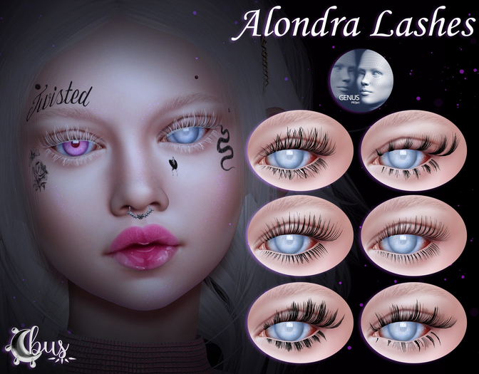 -bus- .Alondra Lashes. {GENUS}