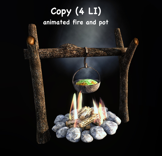 DiMi's Bag - camping fire