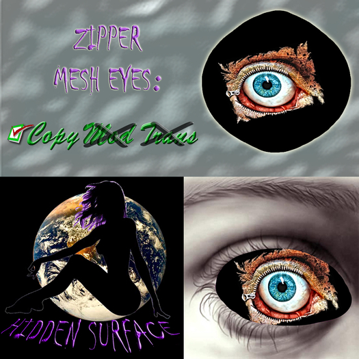 Zipper MESH Eyes HD *Hidden~Surface*