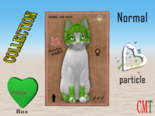 KittyCatS Box - New Born Kitten SweetCatS! 2 - Wowza female