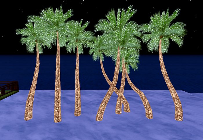 malibu xmas palm 8 1