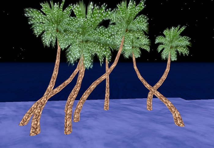 maliby xmas palm 8 2