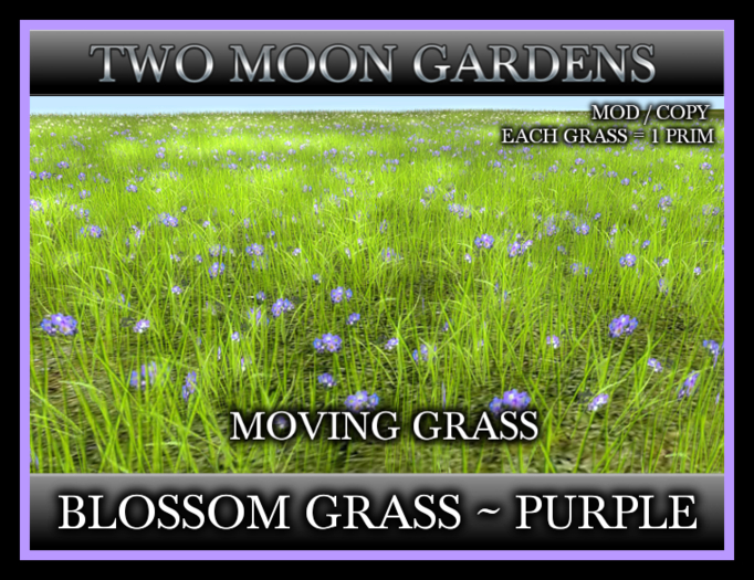 Grass Blossom