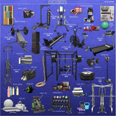 -David Heather-Weights 2