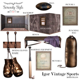 Serenity Style- Igor Vintage Sports Baseball Equipment