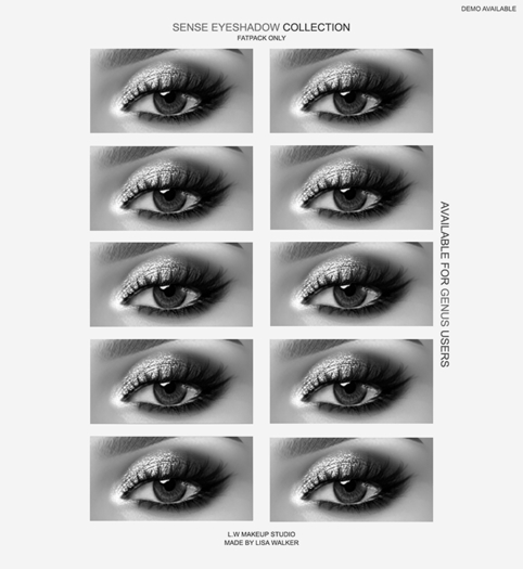 L.W SENSE EYESHADOW (GENUS) DEMO