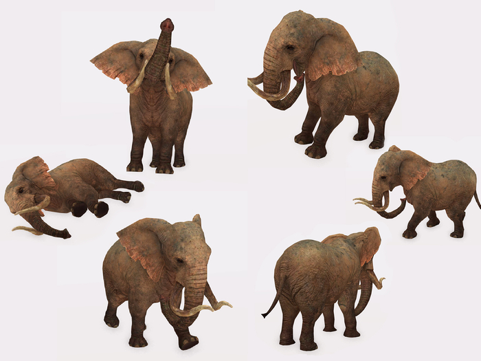 Animpet Animesh or Avatar Elephant Developers Kit 6 Animations