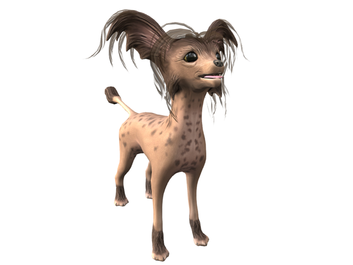 Picture of Second Life Marketplace - 14. *HEXtraordinary* Chinese Crested ...