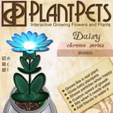 PlantPet Seed [Daisy *Ocean*](RARE VINTAGE)