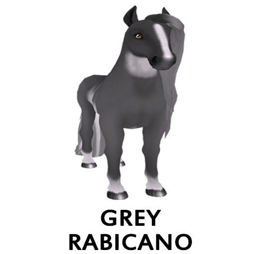 Male, Grey Rabicano, Pearl HeartShine