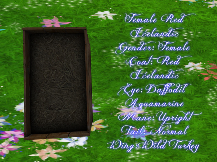 Female Red Icelandic