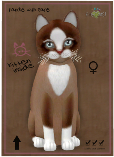 KittyCatS Box - Chateau Cat - Toffee Caramel