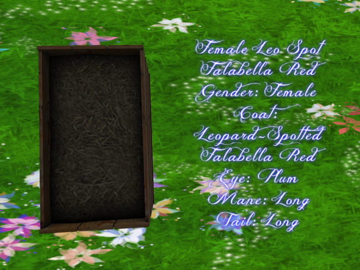 Female Leo Spot Falabella Red