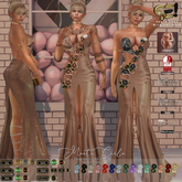 Son!a-Edge MonteCarlo Fitted mesh Formal Dress Bronze